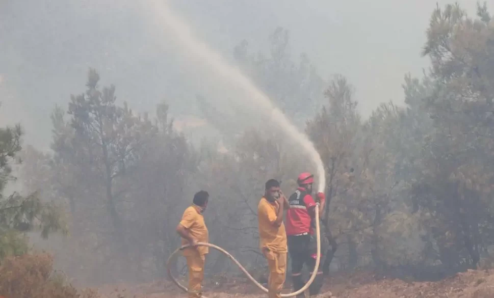 orman yangınından etkilenen ailelere yardım ödemesi