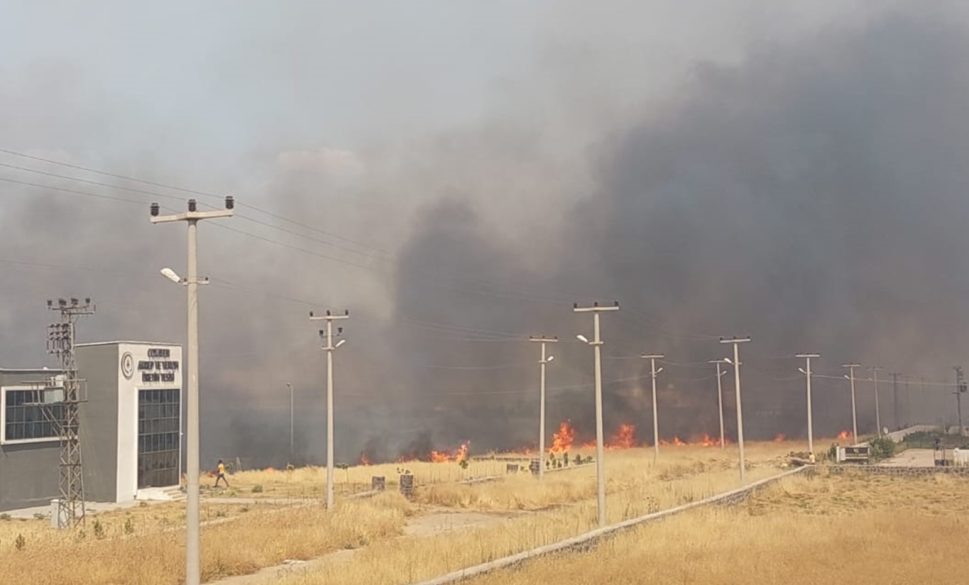 anız yangınında yüzlerce dönüm arazi zarar gördü