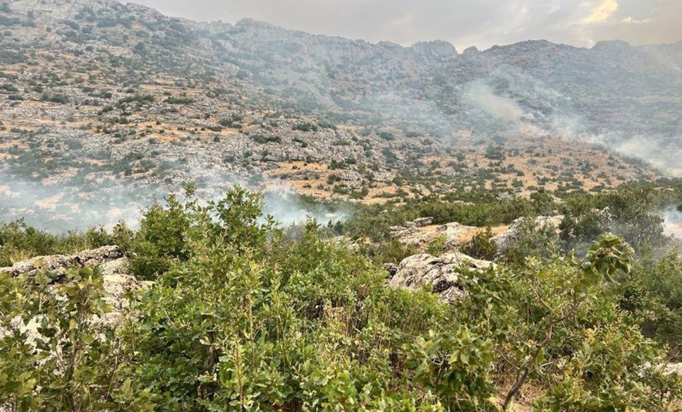 diyarbakır’da çıkan orman yangını söndürüldü