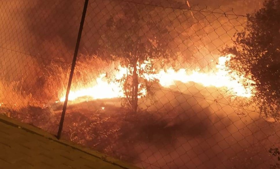 mardin’de yerleşim yeri yakınında yangın