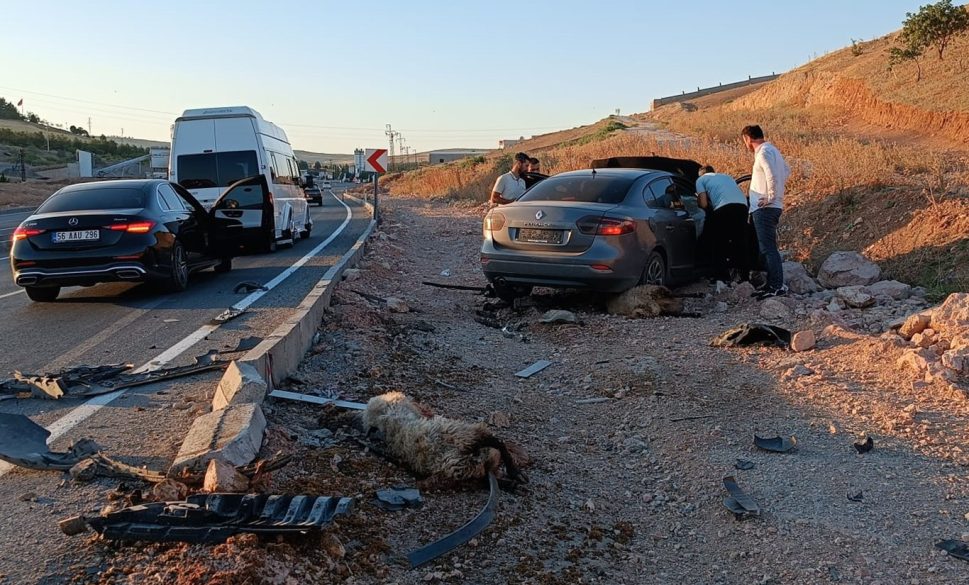 kontrolden çikan otomobi̇l koyun sürüsüne daldi: 2 yarali