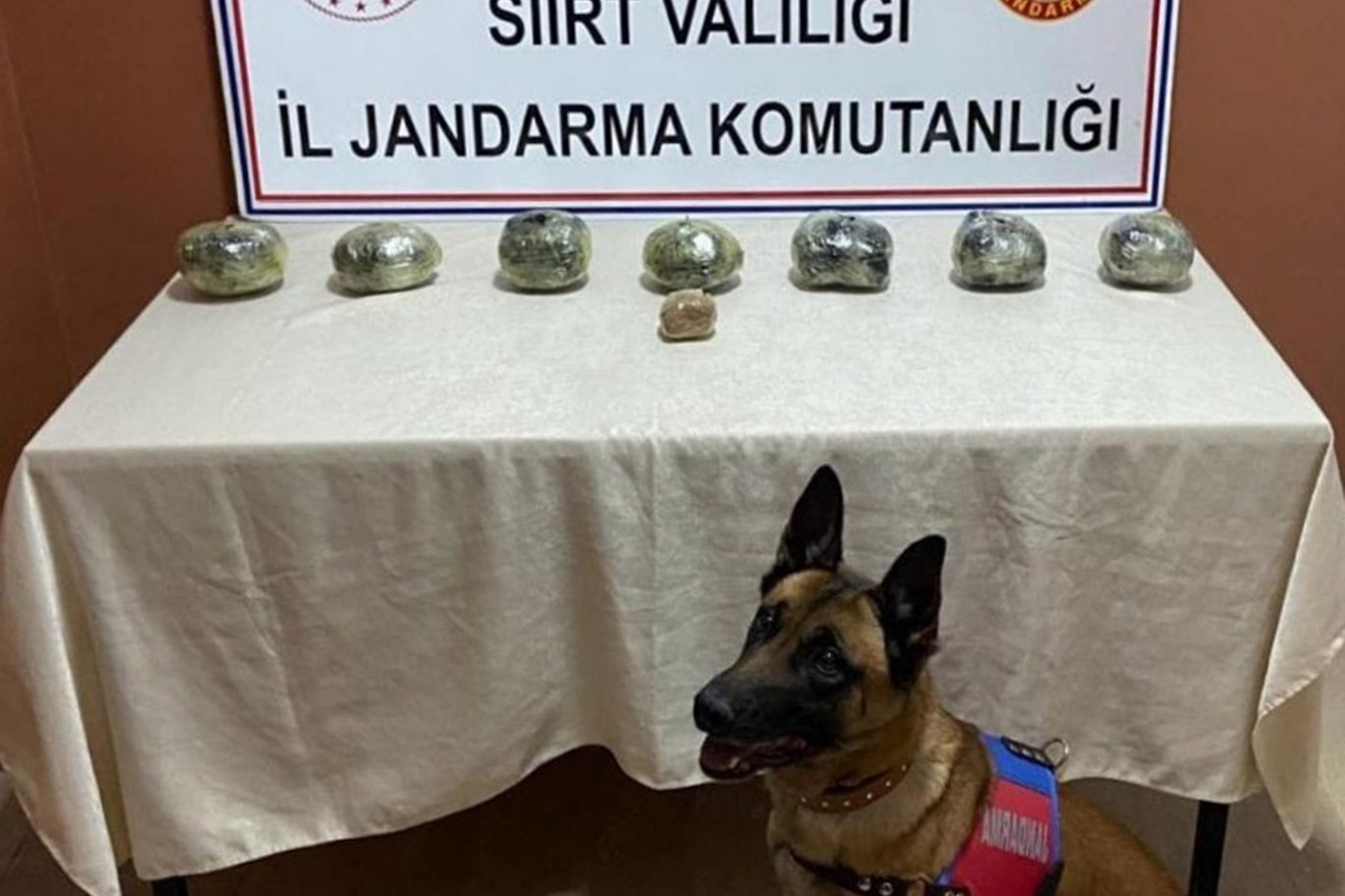 Siirt’te jandarma ekiplerinin düzenlediği