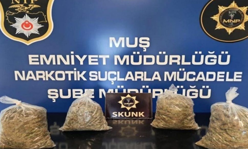  3 kilo 910 gram skunk ele geçirildi