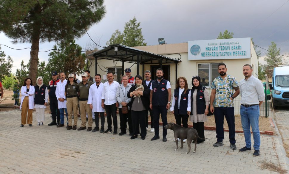 dr.canalp, hayvan bakım merkezi’ni ziyaret etti