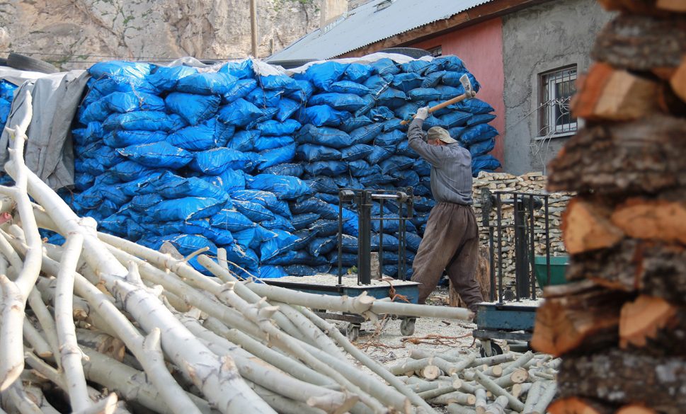 doğalgaz kullanımı odun ve kömürcüleri etkiledi