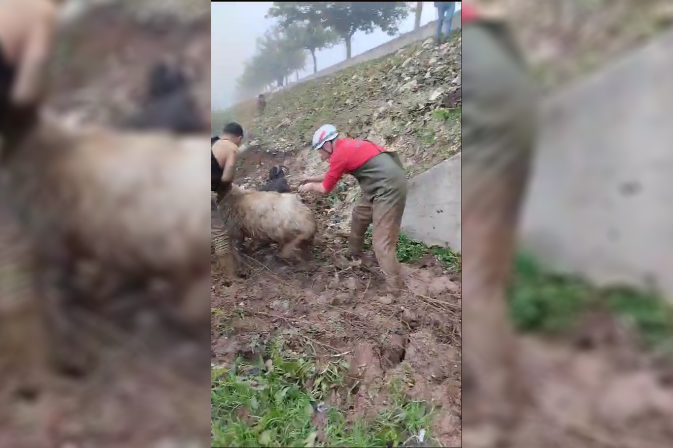 Şanlıurfa’da balçık da mahsur