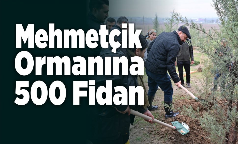 mehmetçik ormanına 500 fidan