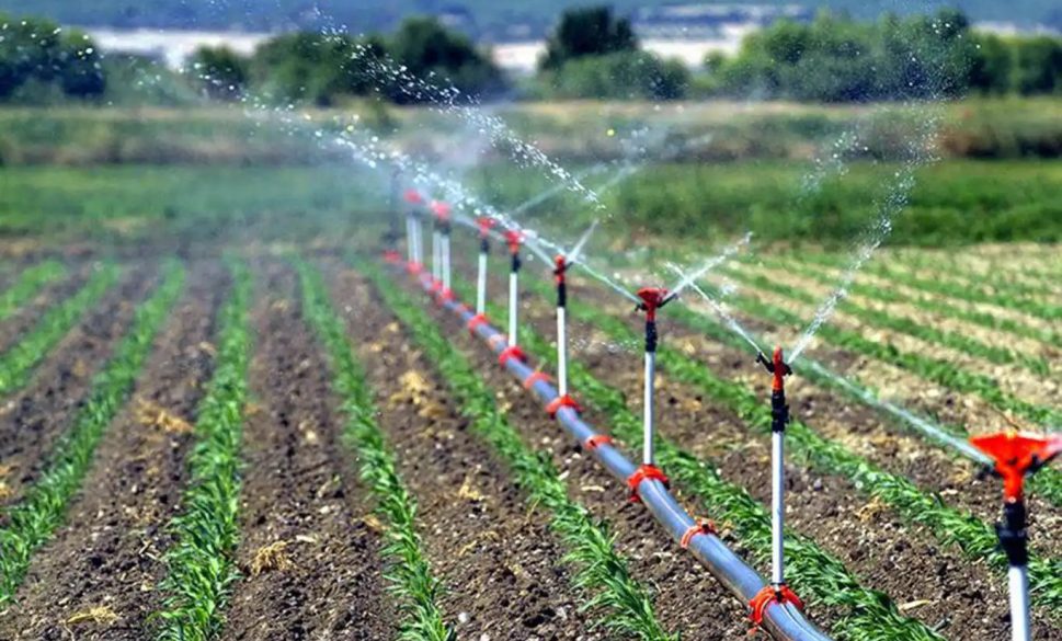 406 milyon liralık destekleme ödemesi yapıldı