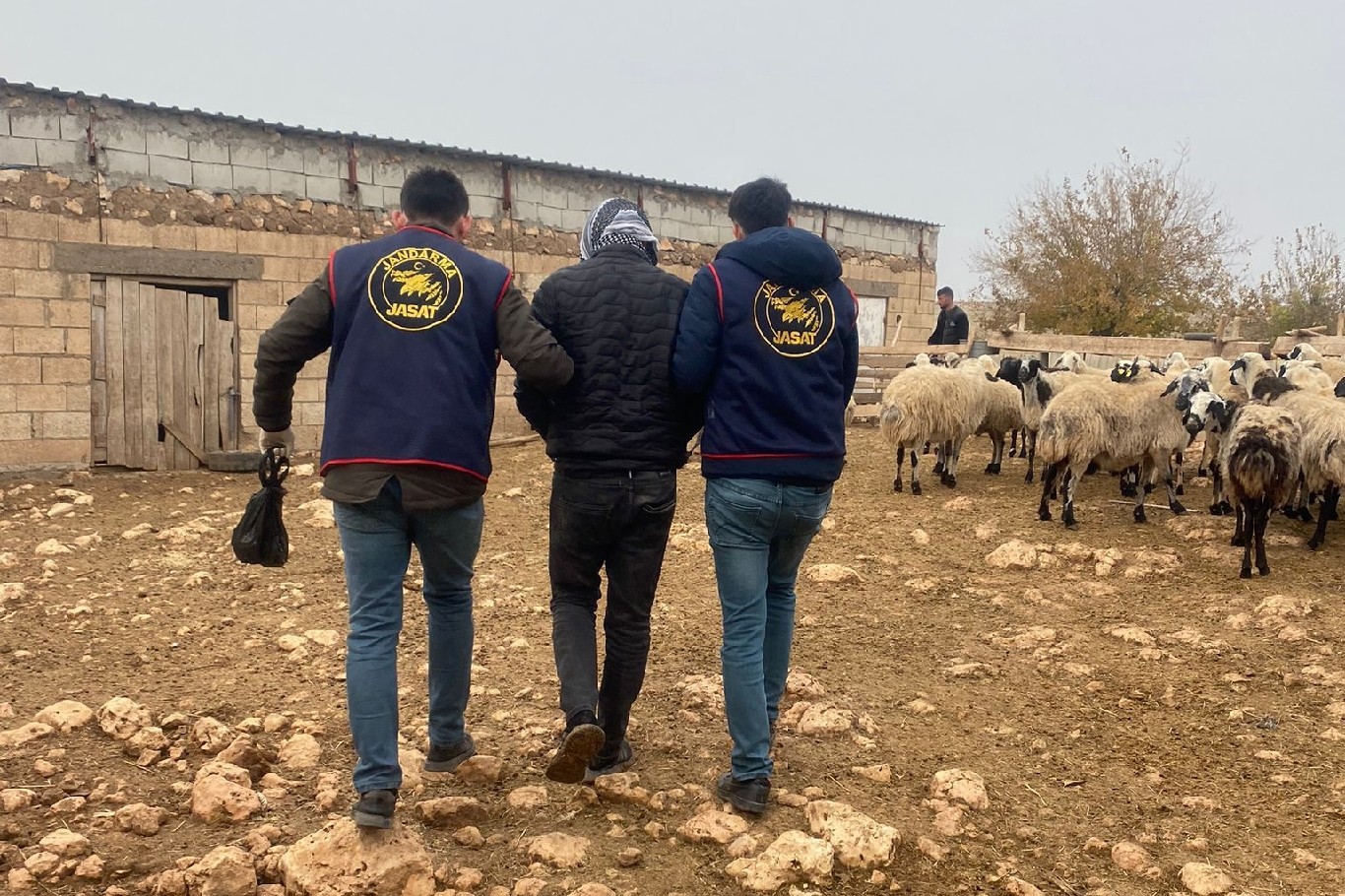 Mardin’in Kızıltepe ilçesinde 13