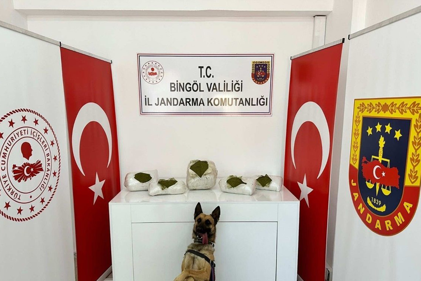 Bingöl’de düzenlenen operasyonlarda, 13