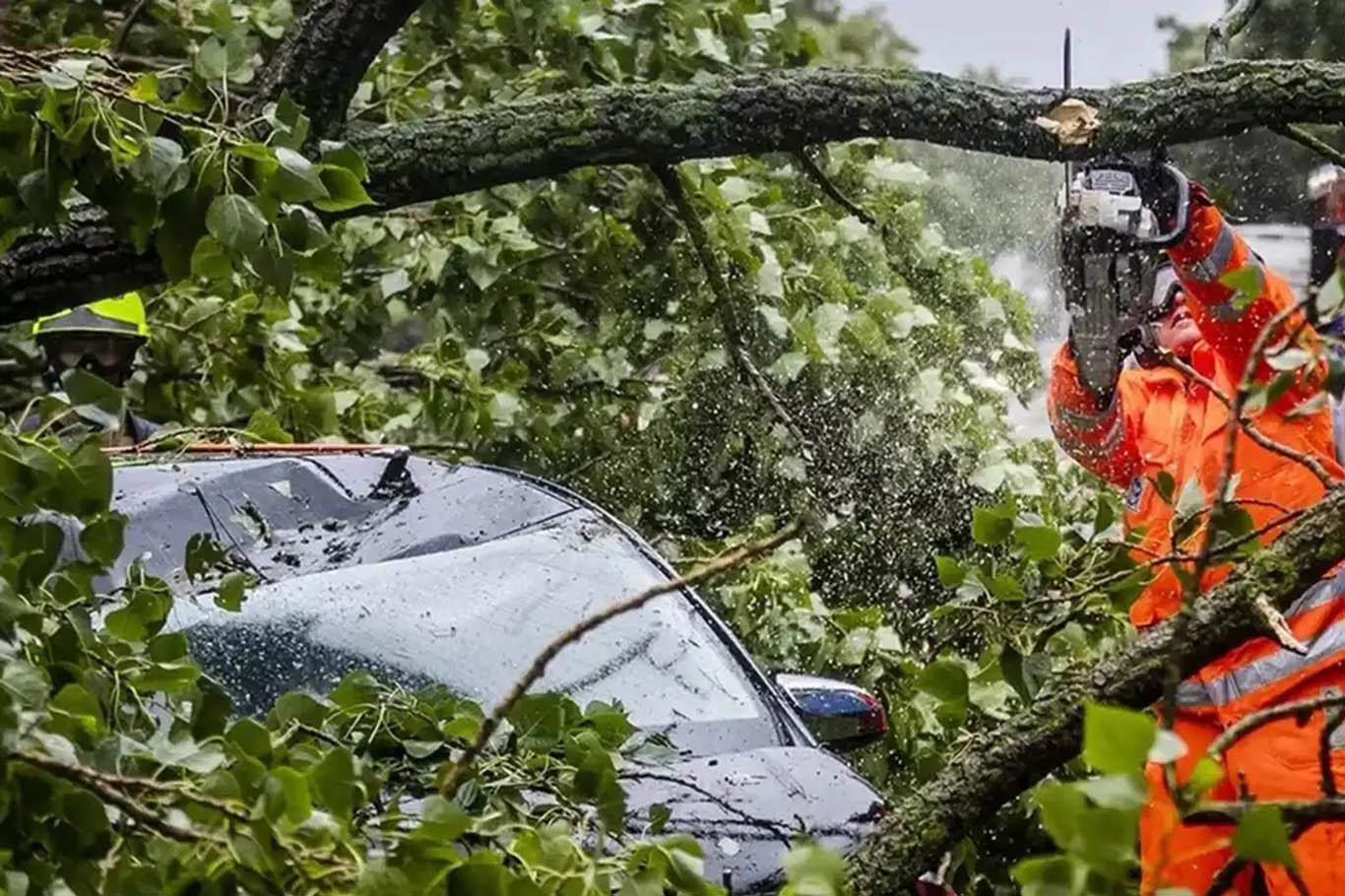 Meteoroloji Genel Müdürlüğü, Marmara