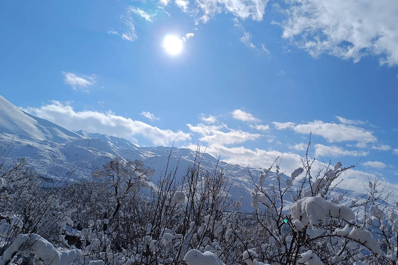 Bitlis’te etkili olan kar