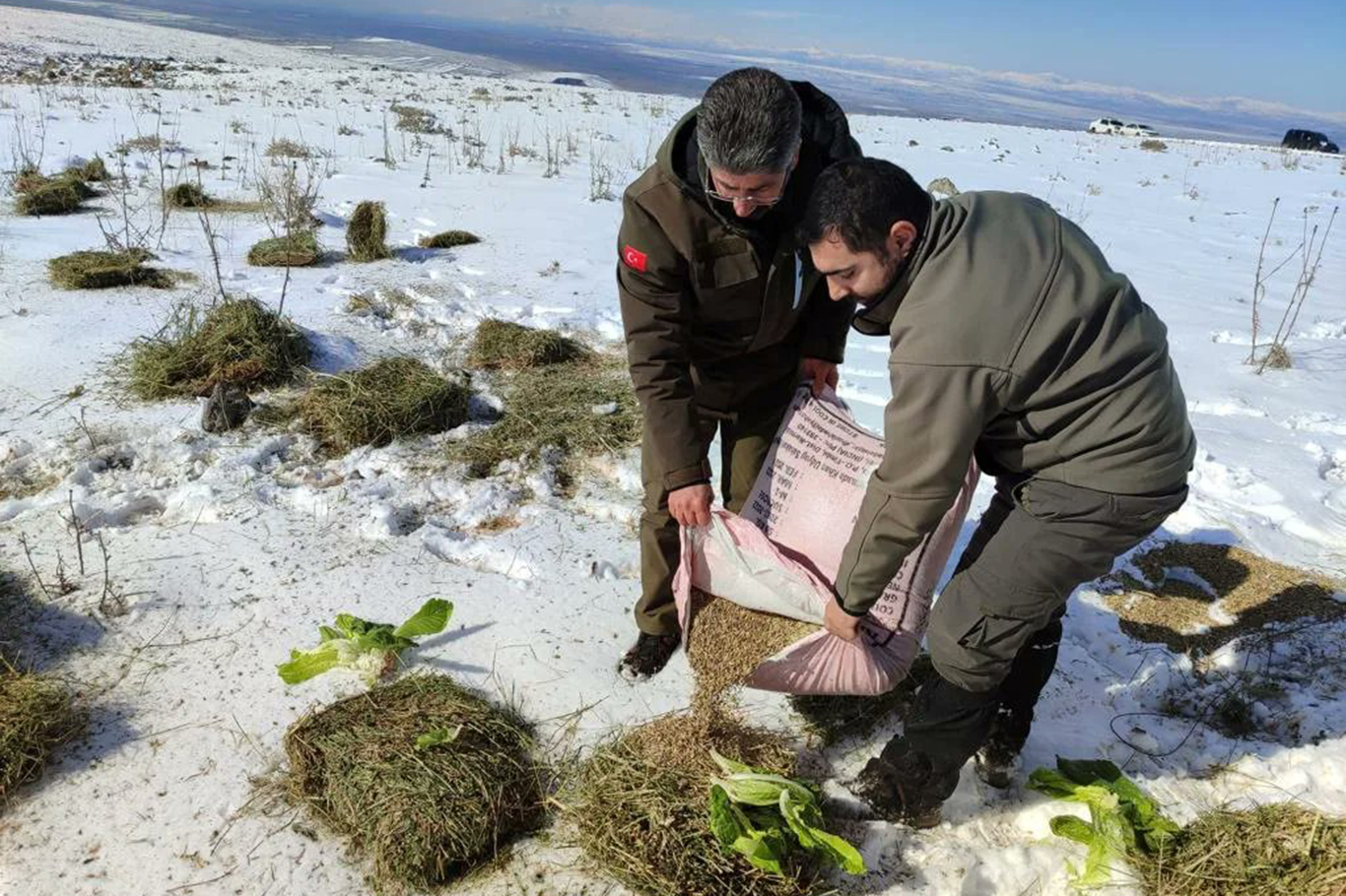 Şanlıurfa’nın Siverek ilçesinde kar