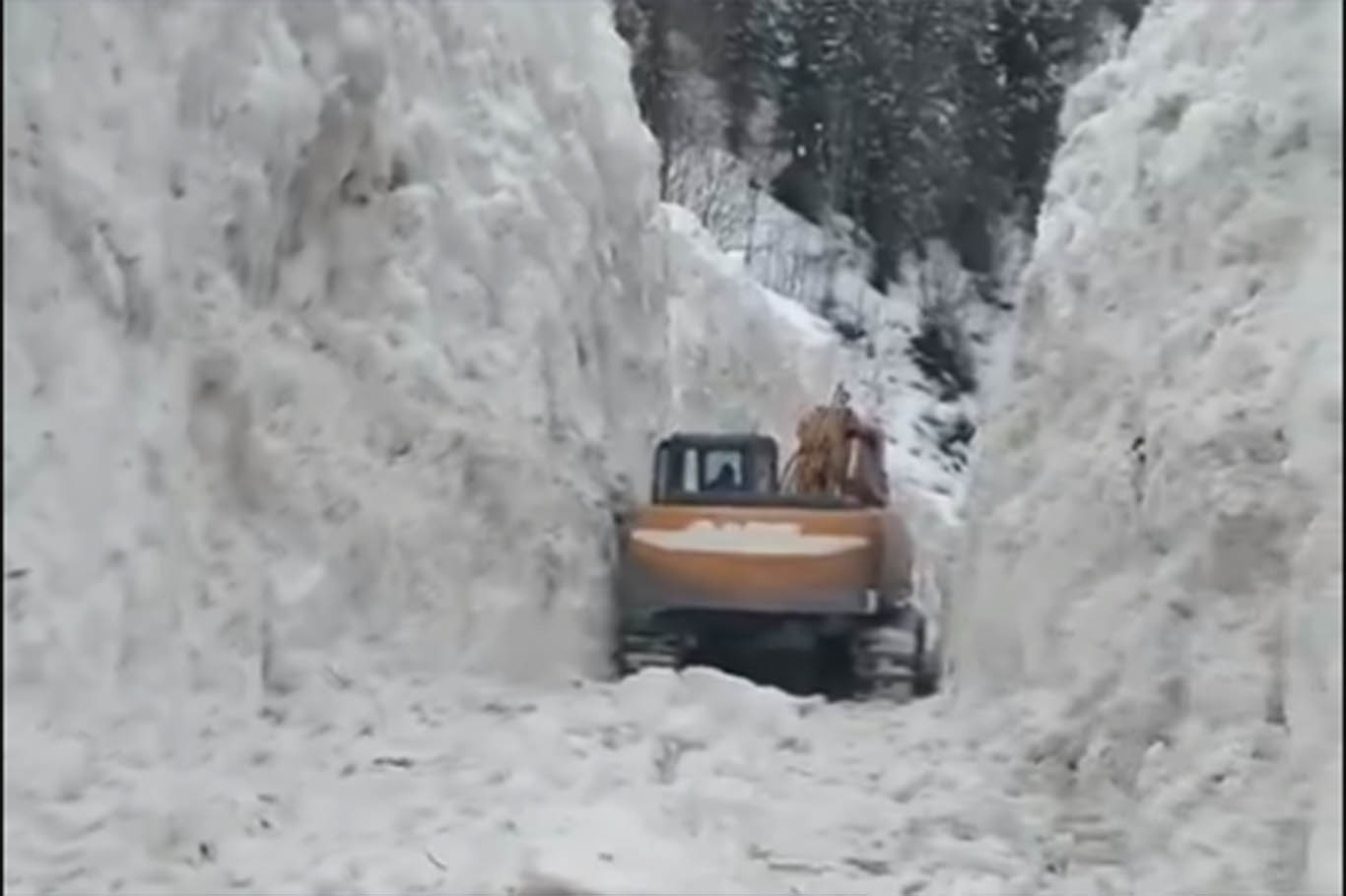 Artvin’in Şavşat ilçesinde çalışma