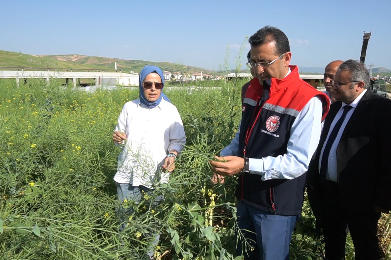 Siirt’te, iklim değişikliğiyle mücadele