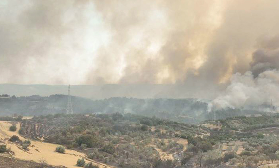 çanakkale’de orman yangını