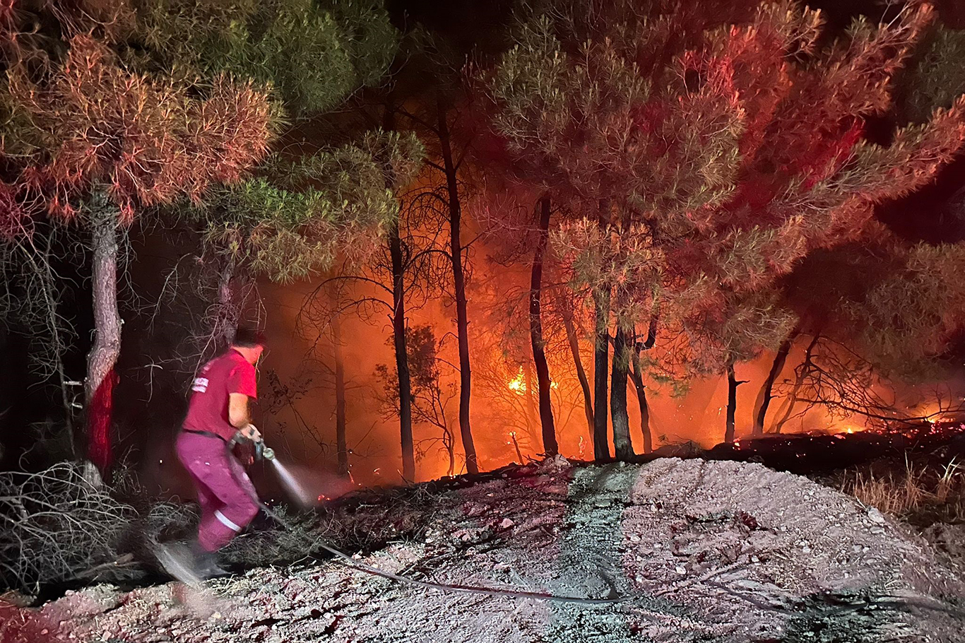 Salihli ilçesinde çıkan orman