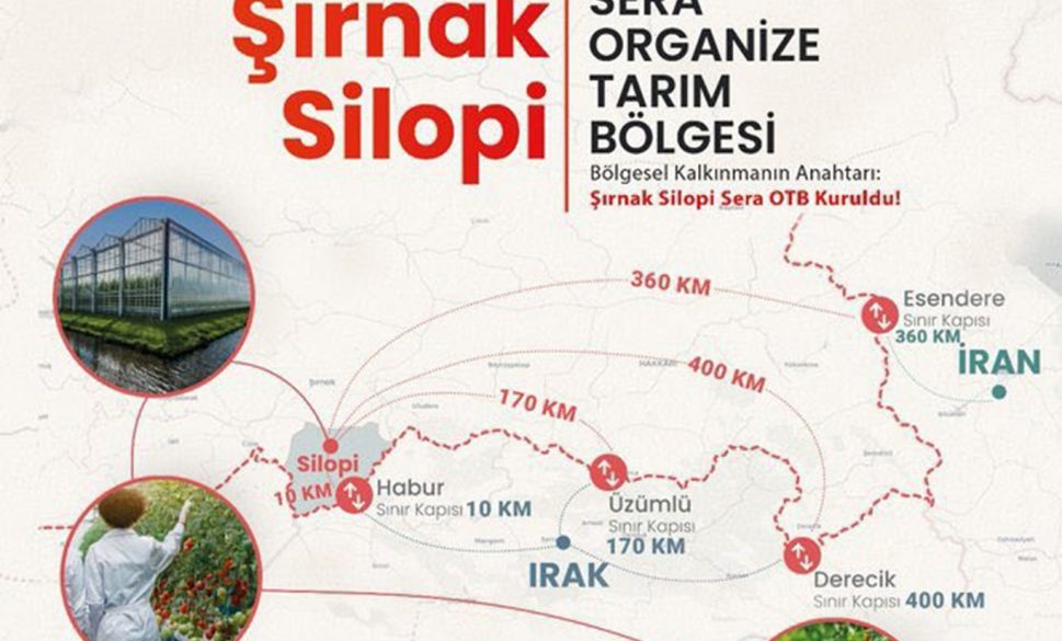 silopi’ye ‘sera organize tarım bölgesi’ kurulacak