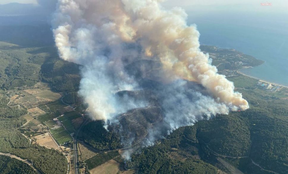 i̇zmir’in 5 ilçesinde orman yangını devam ediyor