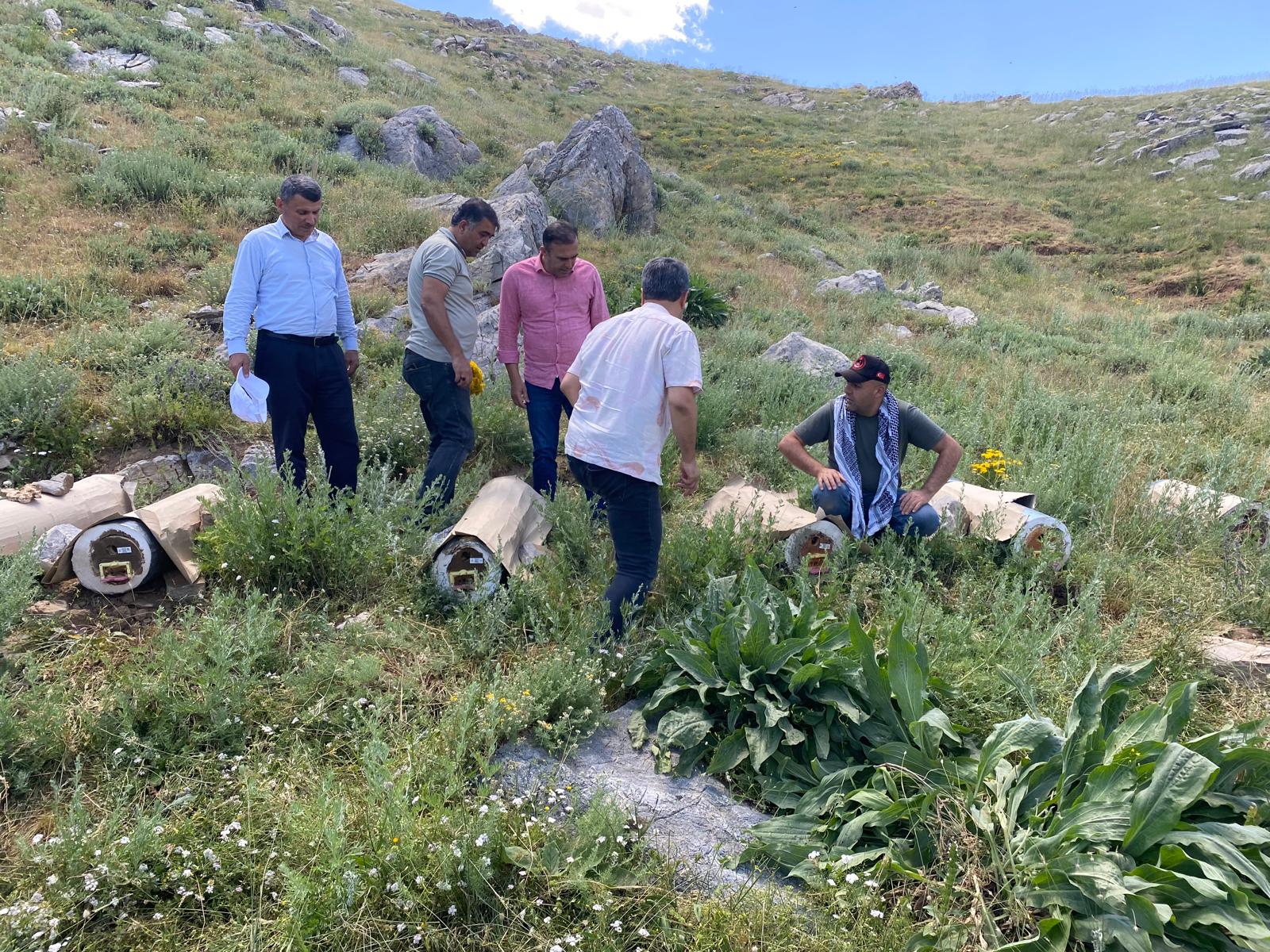 Vali Ekrem Canalp’in öncülüğünde