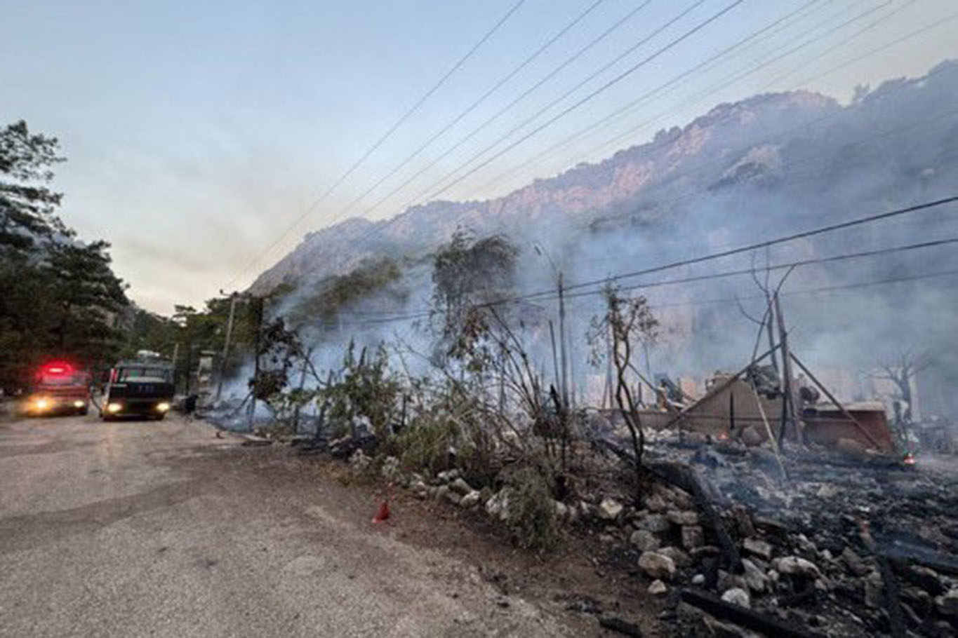 Antalya’nın Kumluca ilçesinde çıkan