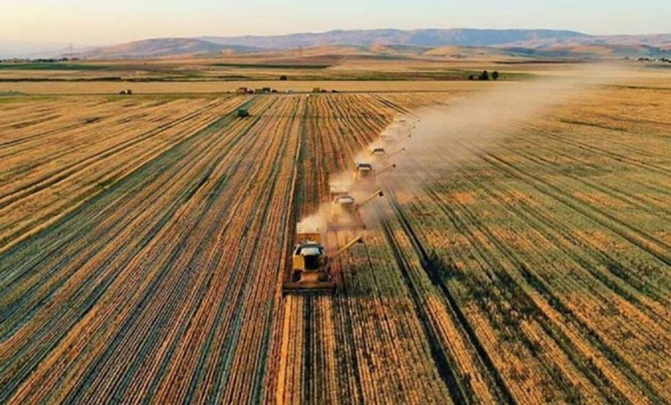 destekleme ödemeleri çiftçilerin hesaplarına aktarılacak