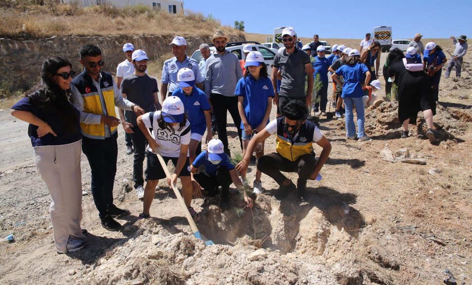 katı atık sahasına fidan diktiler