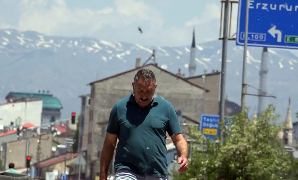 polenler hayatı olumsuz etkiliyor