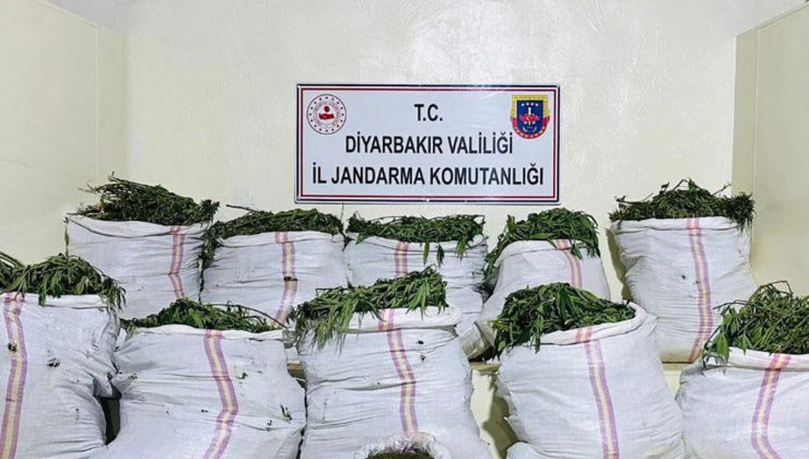 diyarbakır’da 1 milyonu aşkın kenevir bitkisi ele geçirildi