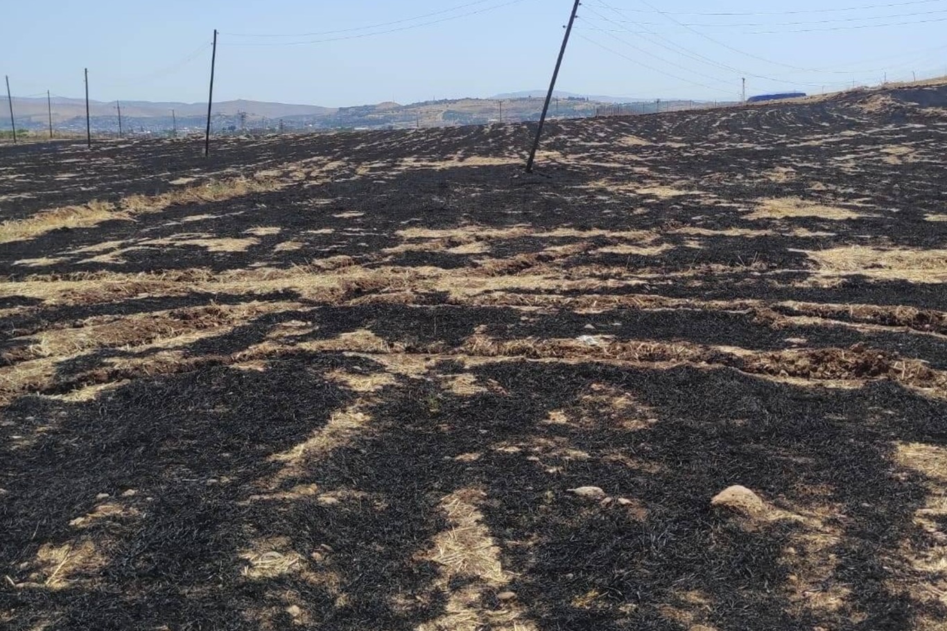 Siirt’te, jandarma ekipleri tarafından