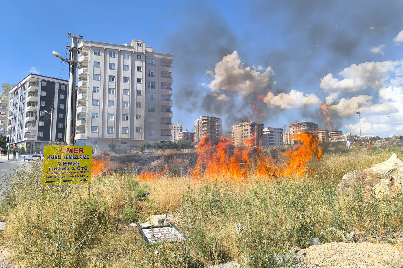 Şanlıurfa’da son 2 haftada