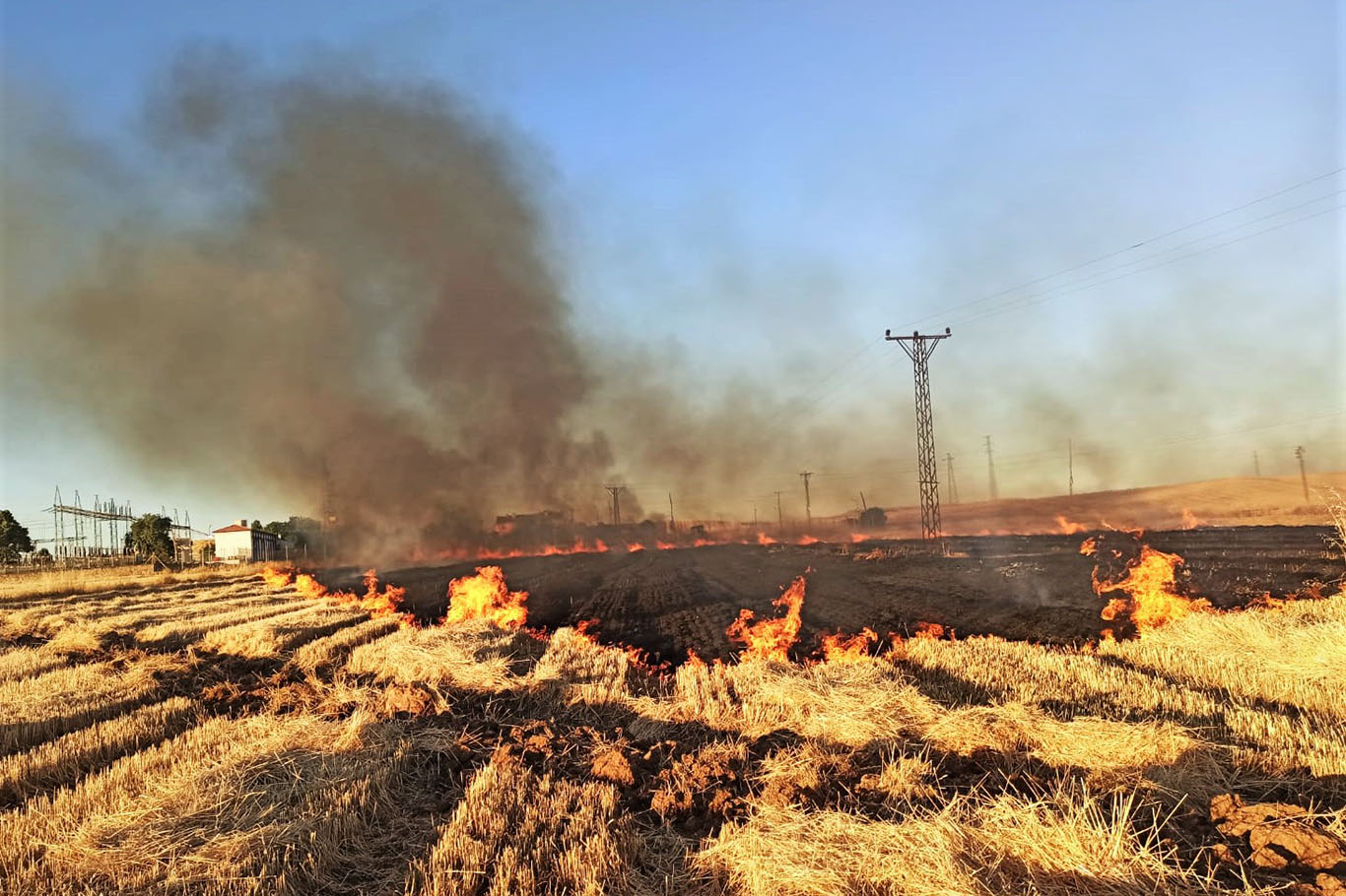 Şanlıurfa’da gerçekleşen anız yakımı