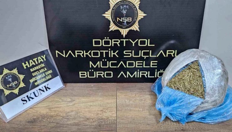 1 kilo 900 gram skunk ele geçirildi