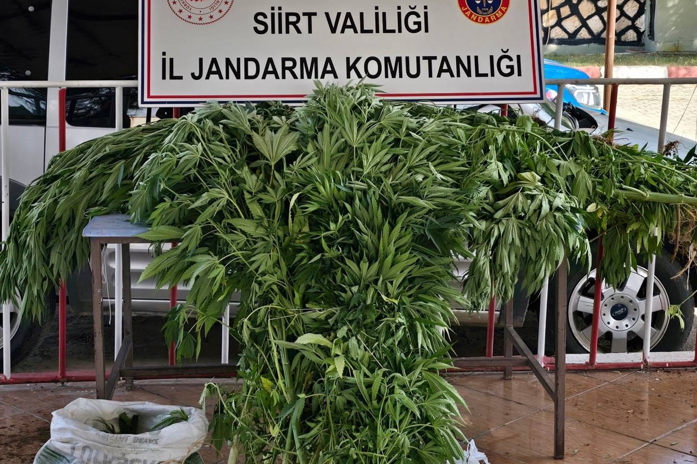 Siirt’in Kurtalan ilçesi Gökdoğan