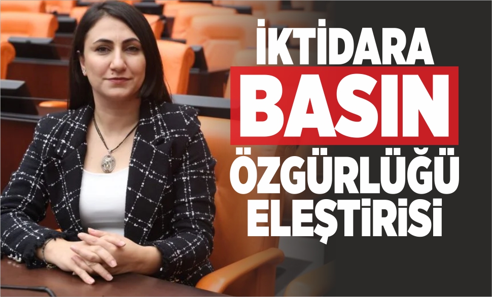 i̇ktidara basın özgürlüğü eleştirisi