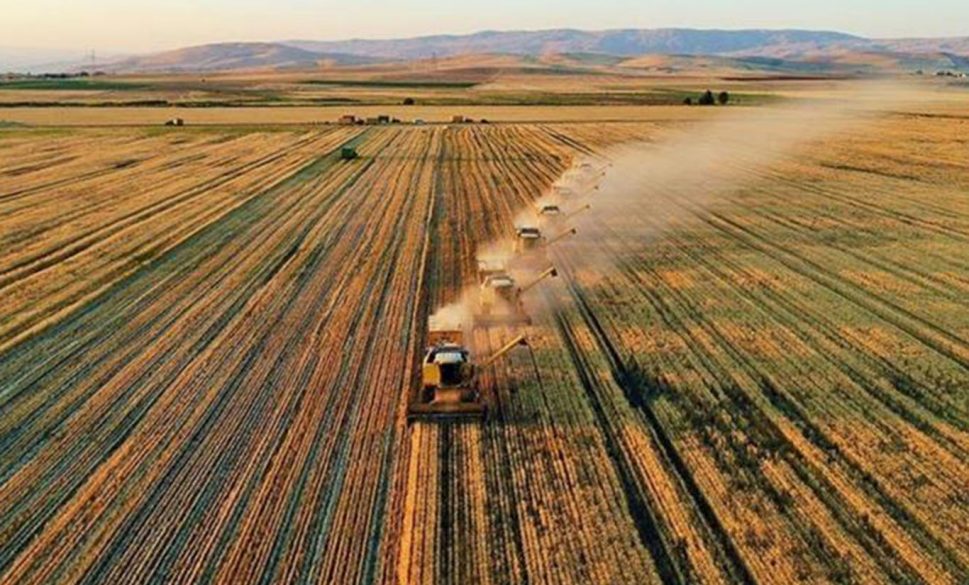 türkiye’nin tarımsal hasılası 68,5 milyar dolara ulaştı