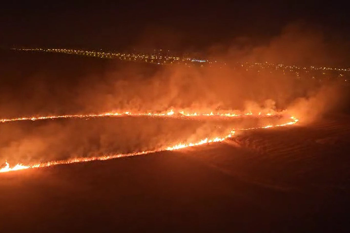 Diyarbakır’ın Kayapınar ilçesinde henüz