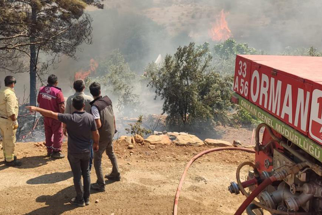 Antalya’nın Serik ilçesinde otluk