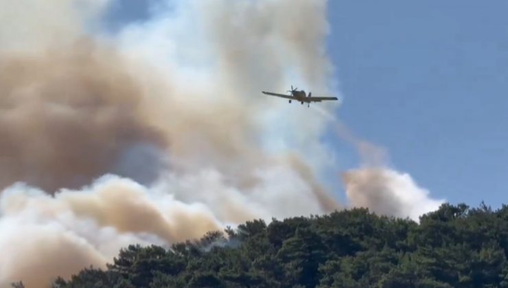 247 yangına müdahale edildi, 241’i kontrol altında