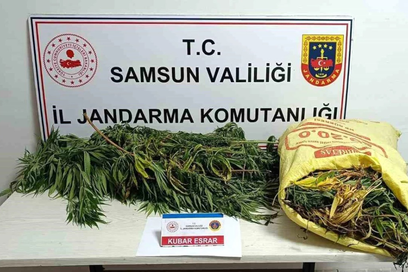 Samsun’da jandarma ekipleri tarafından