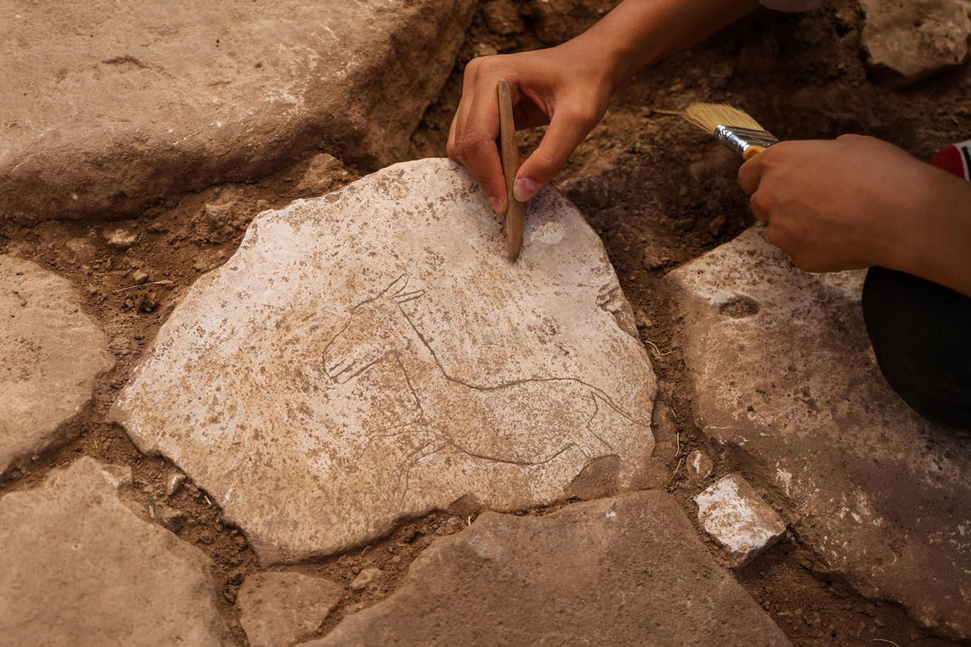 Kültür ve Turizm Bakanı