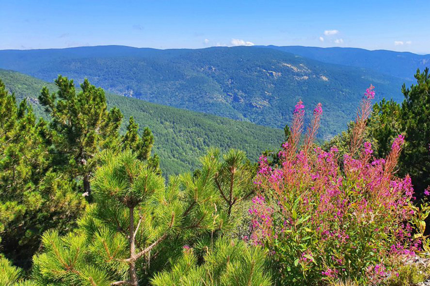 Balıkesir ve Çanakkale il