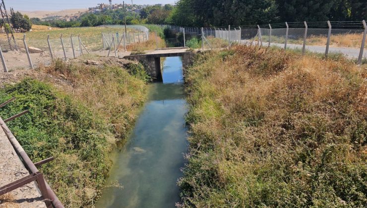 yol kenarında tabancayla vurulmuş bir ceset bulundu