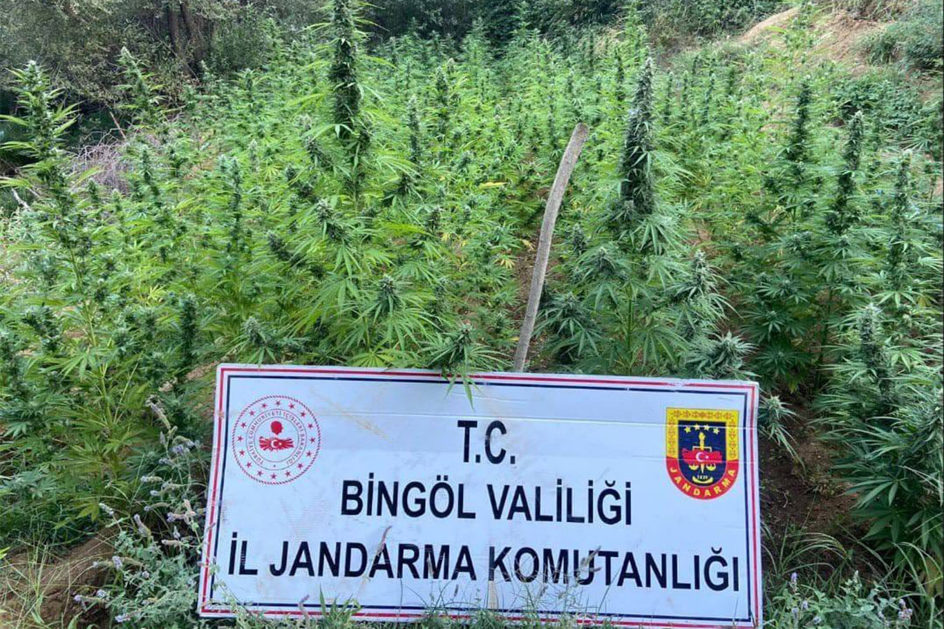 Bingöl’de İl Jandarma Komutanlığı