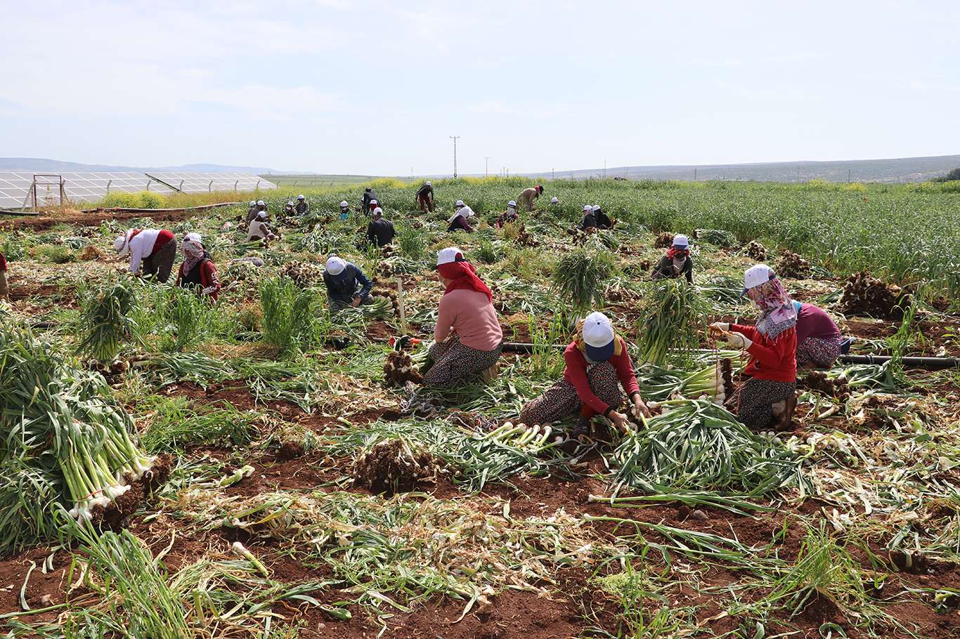 Sanayi, inşaat ve ticaret-hizmet