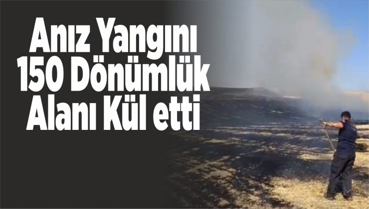 anız yangını 150 dönümlük alanı kül etti