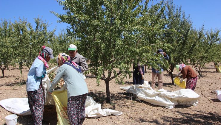 tarım işçileri: alım gücümüz kalmadı