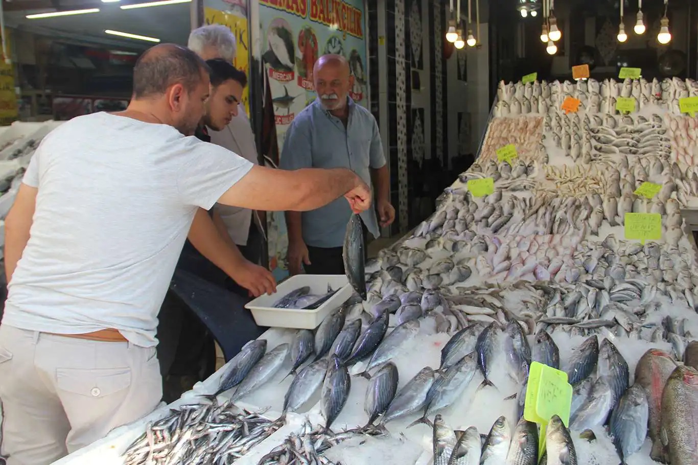 Tarım ve Orman Bakanlığınca