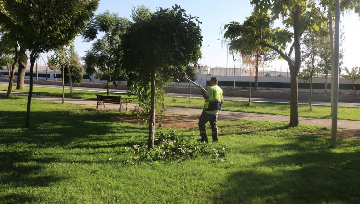 yeşil alanlar ile süs havuzlarına bakım