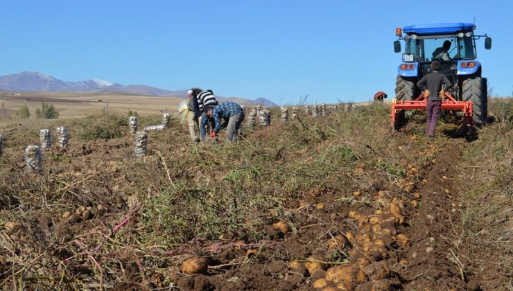 tarımsal girdi fiyat endeksi arttı